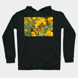 Hackberry Emperor and Huisache Daisy Wildflowers Hoodie